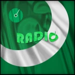 nigeria android application logo